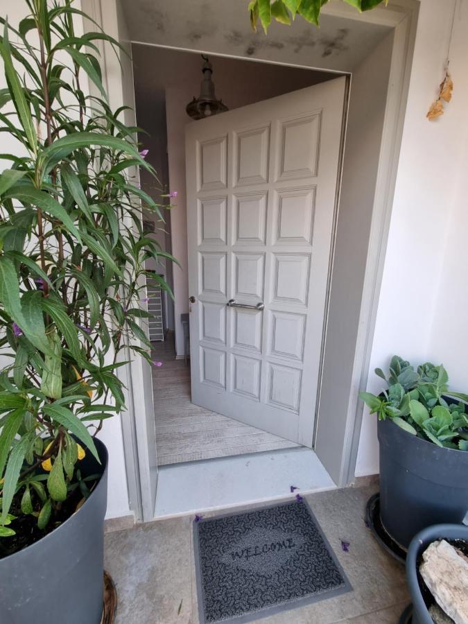 Hara'S Villa In Naousa , Paros المظهر الخارجي الصورة