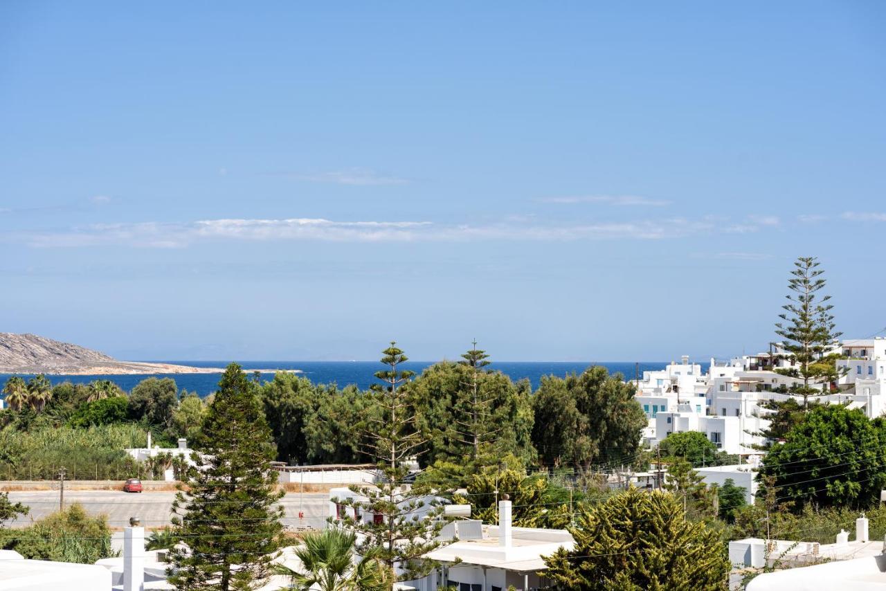 Hara'S Villa In Naousa , Paros المظهر الخارجي الصورة