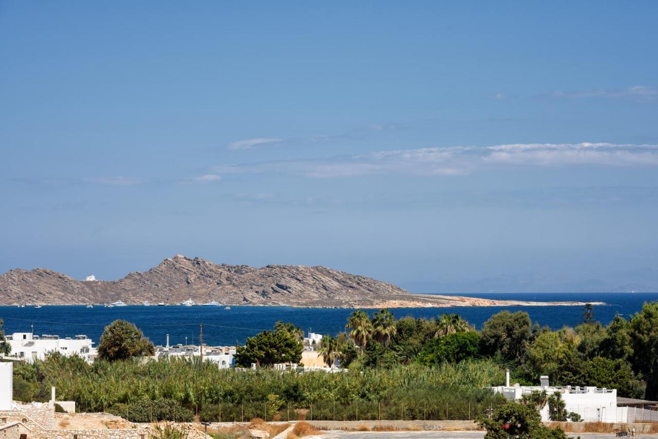 Hara'S Villa In Naousa , Paros المظهر الخارجي الصورة